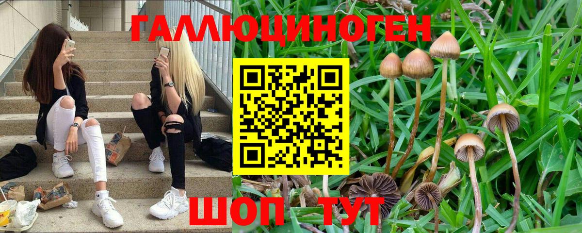 Галлюциногенные грибы ЛСД  Вход с VPN  Канаш 