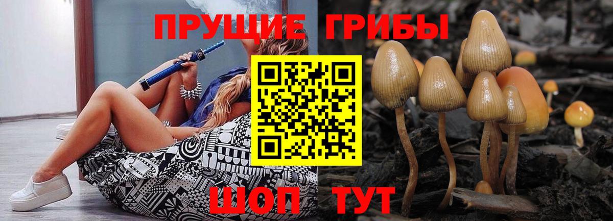 Галлюциногенные грибы GOLDEN TEACHER Канаш